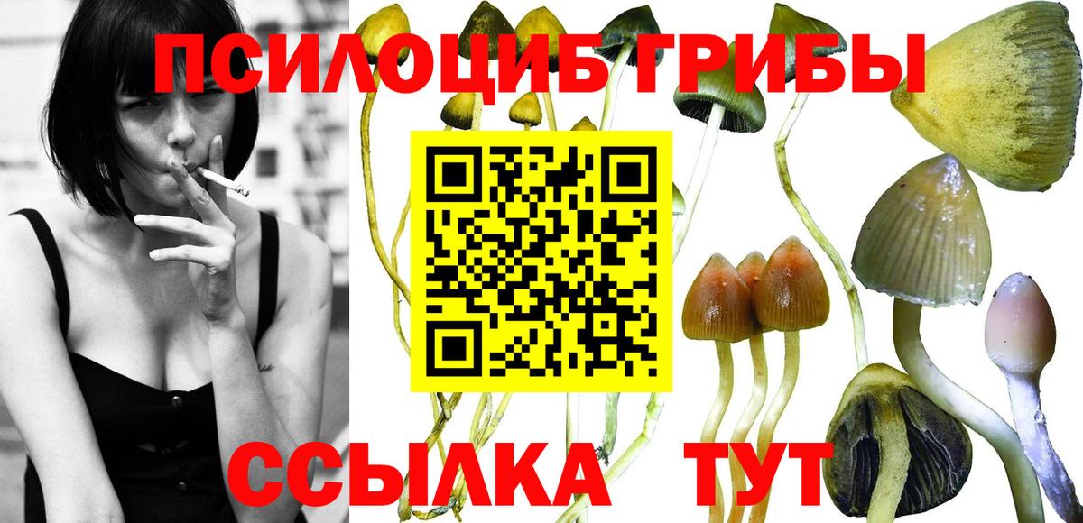 Апшеронск  закладки  Вход с VPN  Псилоцибиновые грибы прущие грибы 